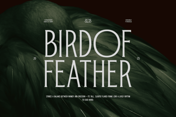Bird of Feather Typeface Review: A Refined Serif for Branding